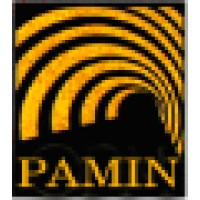 PAMIN - Passagem Mineração S/A