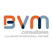 BVM Consultores