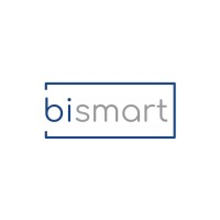BSM Asesorias Empresariales Limitada