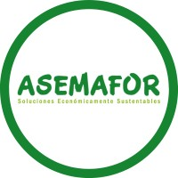 Asemafor SpA.