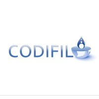 CODIFIL FILTRACION LTDA
